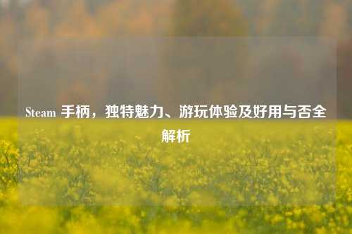 Steam 手柄，独特魅力、游玩体验及好用与否全解析