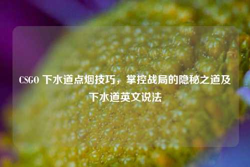 CSGO 下水道点烟技巧,掌控战局的隐秘之道及下水道英文说法