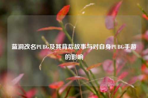 蓝洞改名PUBG及其背后故事与对自身PUBG手游的影响