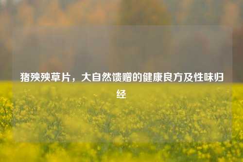 猪殃殃草片，大自然馈赠的健康良方及性味归经