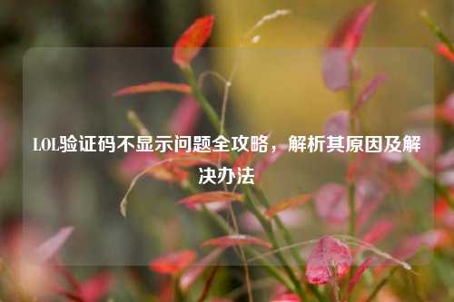 LOL验证码不显示问题全攻略，解析其原因及解决办法