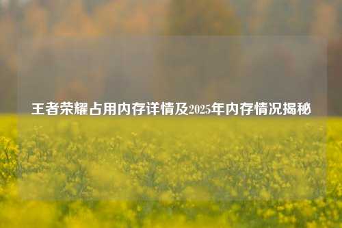 王者荣耀占用内存详情及2025年内存情况揭秘