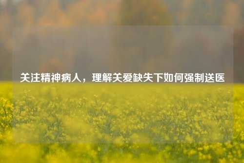 关注精神病人，理解关爱缺失下如何强制送医