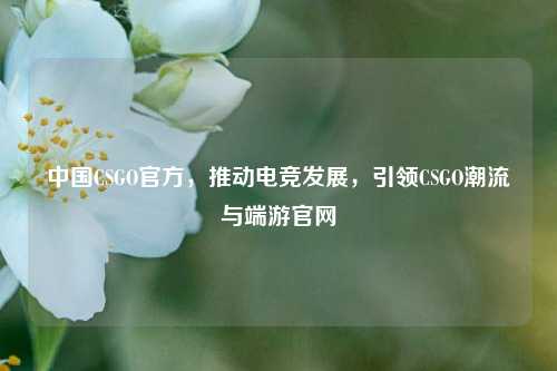 中国CSGO官方，推动电竞发展，引领CSGO潮流与端游官网