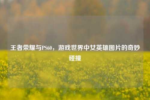 王者荣耀与PS60,游戏世界中女英雄图片的奇妙碰撞
