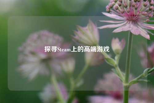 探寻Steam上的高端游戏