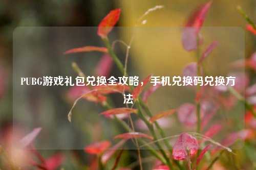 PUBG游戏礼包兑换全攻略,手机兑换码兑换方法
